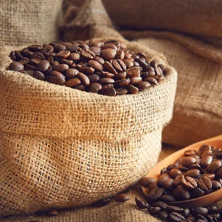 Hotell Kollekolle Konferencehotel Vaerlose (Copenhagen)